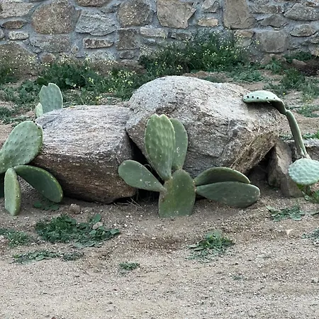 Lägenhet Miamis Mykonos I Plintri